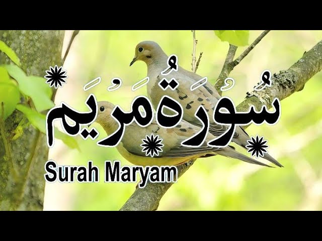 Surah Maryam (Be Heaven) سورة مريم | Surah Maryam Beautiful Recitation | Surah Maryam Ki Tilawat