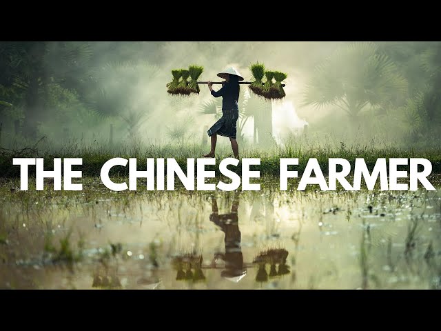 THE CHINESE FARMER- A short story in English with MORAL by ALAN WATTS