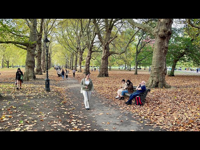 England, Central London Autumn Walk | Relaxing Walking tour in St James’s Park, Green Part [4K HDR]