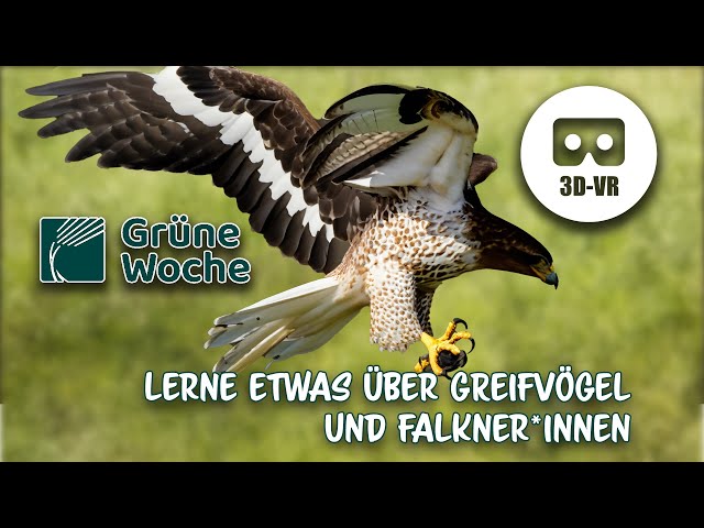 Grüne Woche Interview "Falknerei in Deutschland" - by VRwhatYOUwant VR180 3D