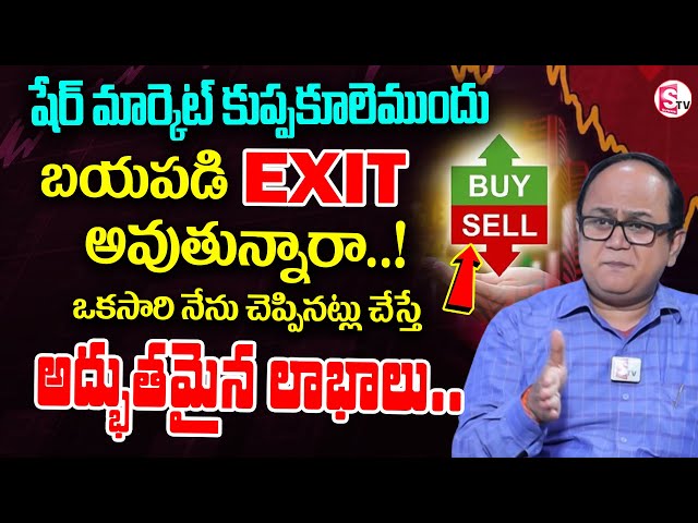 What should investors do when the stock market crashes?| Share Market For Beginners |SumanTV Finance