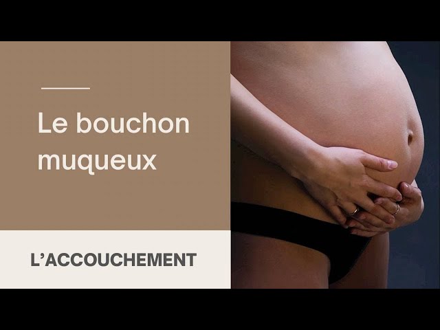 Le bouchon muqueux