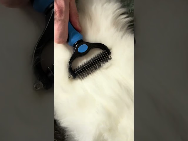 Ultimate grooming comb for long-haired pets!