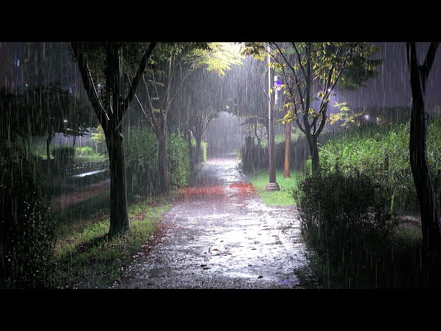 Goodbye Insomnia with Heavy Rain pouring down on the promenade at Night, white noise for sleep