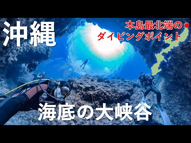 【沖縄 ダイビング】圧倒的透明度の海から臨む大峡谷！！本当最北端の辺戸岬キャニオン