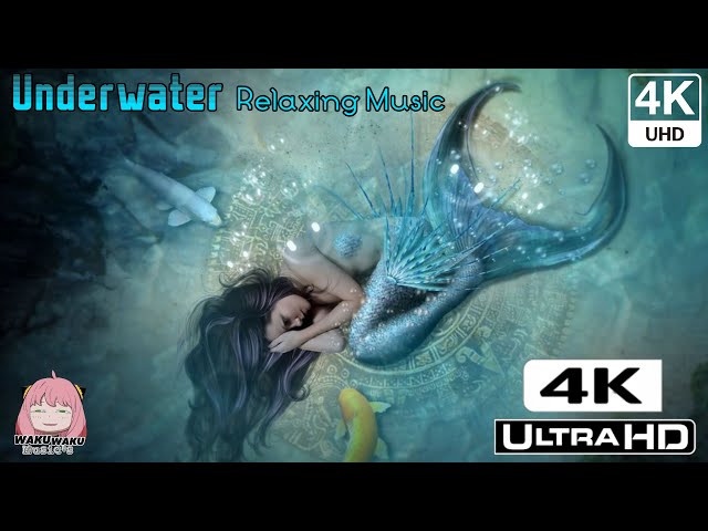 Amazing Underwater World of the Sea | Relaxation Music | Deep Ocean Sleep Meditation | 4K Ultra HD