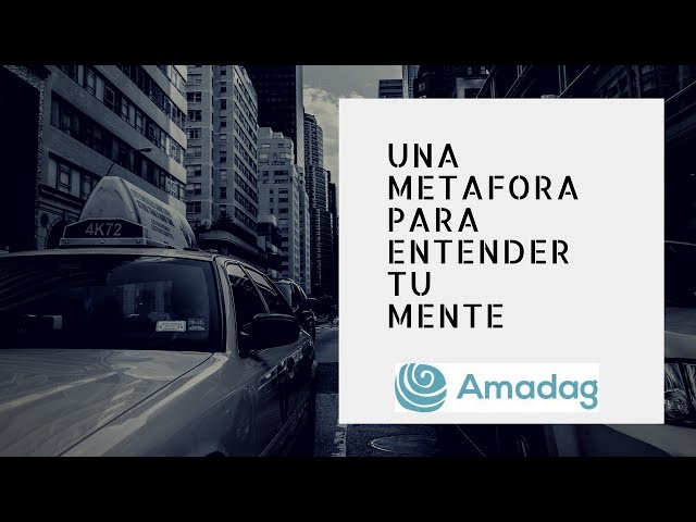 Entiende tu mente: Metafora del autobus