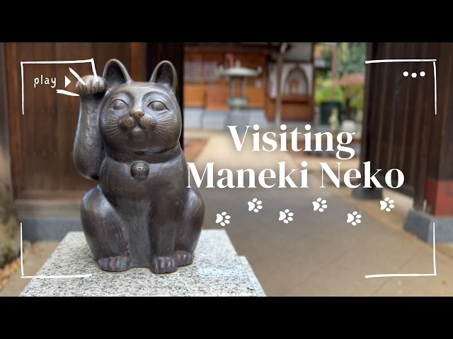 🐱Visiting Maneki Neko’s house | Gotoku-ji temple | Cat’s Day | 🇯🇵 Spend a cozy day with me in Japan