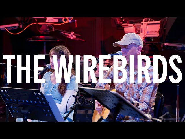 WUFT Amplified: The Wire Birds