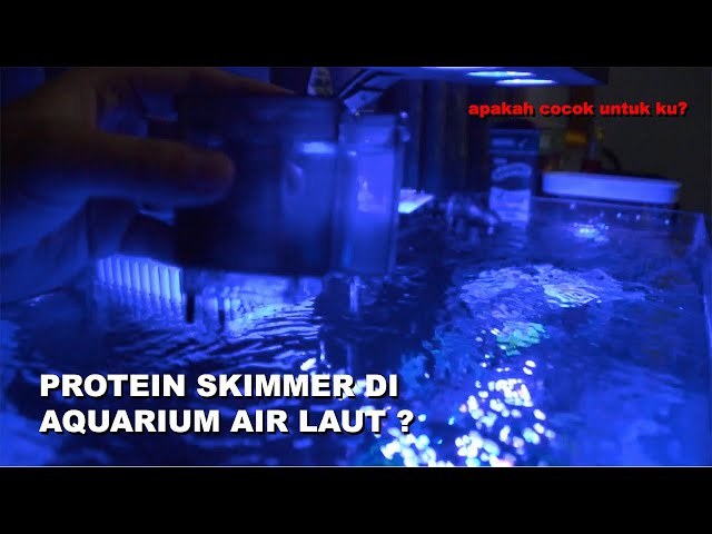 Reef Tank Needs Protein Skimmer? Do You Need One ?