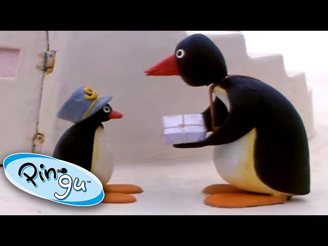 Pingu Delivers the Mail | Pingu Official | Cartoons for Kids