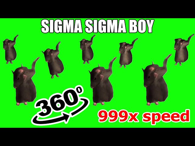 Sigma Sigma Boy 999x speed 360º