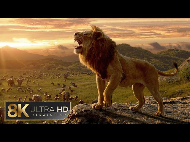 MUFASA 2024 Teaser Trailer 8K Ultra HD