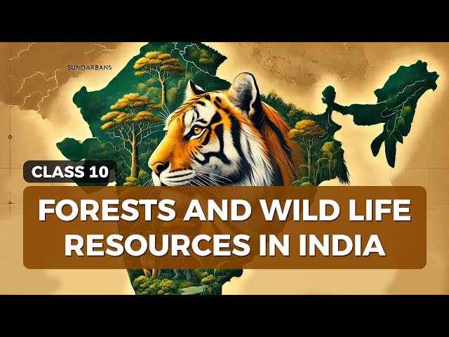 🌳 Forests and Wildlife Resources | NCERT Class 10 Geography 🐅🌿