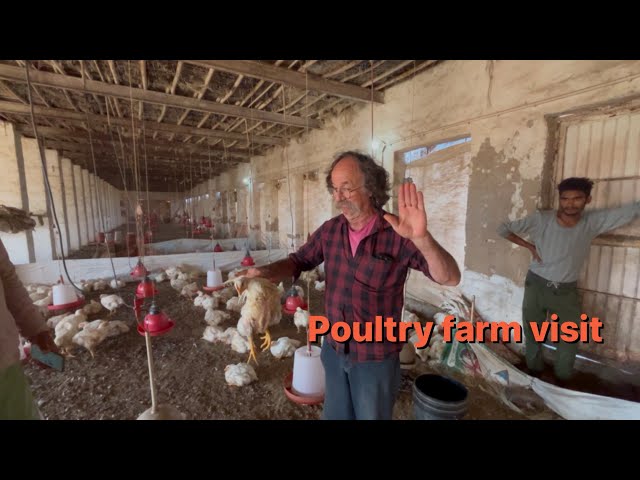 Poultry farm visit || kunal jaat