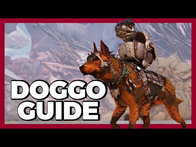 ARMADOGGO GUIDE! Wie ihr ihn ZÄHMT und was er ALLES KANN!