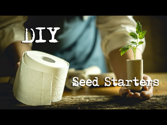 How to make seed starters from empty toilet paper rolls