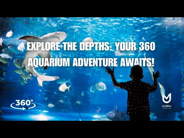 Explore the Depths: Your 360 Aquarium Adventures Await! | UnoMiru India