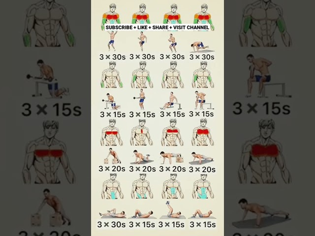 4 exercise for upper body workout, 4 exercise for chest workout, 4 exercise for abs workout, 4 arms