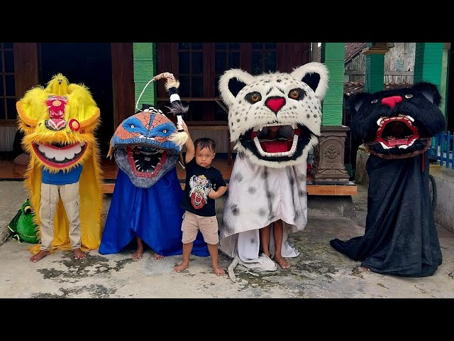 PAWANG CILIK VS BARONGAN MACAN TUTUL DAN BARONGSAI