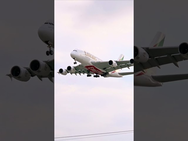 O gigante A380 pousando em GRU