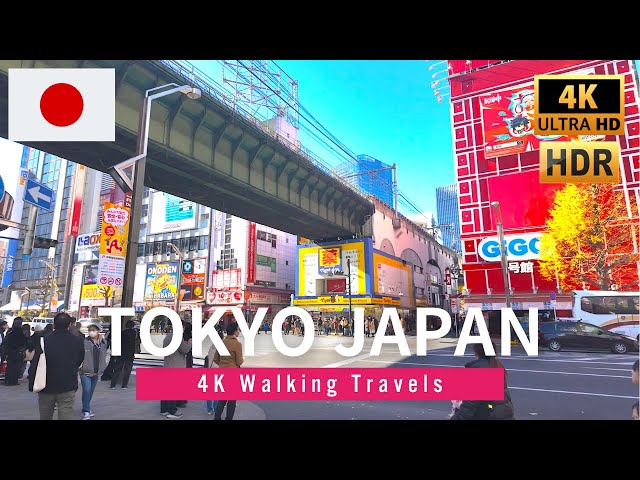 4K Tokyo Walk 🇯🇵 Walking for 2 hours from Hatanodai to Musashi-kosugi in Japan - Jan 2025