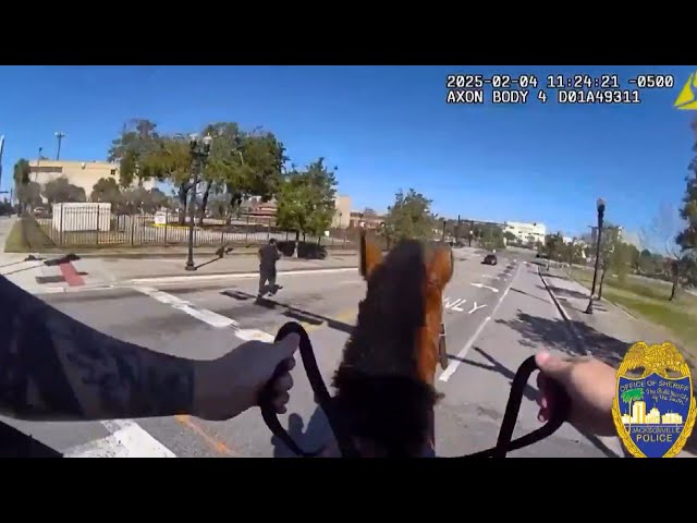 Police Officer Chases Down Suspect While Riding Horse