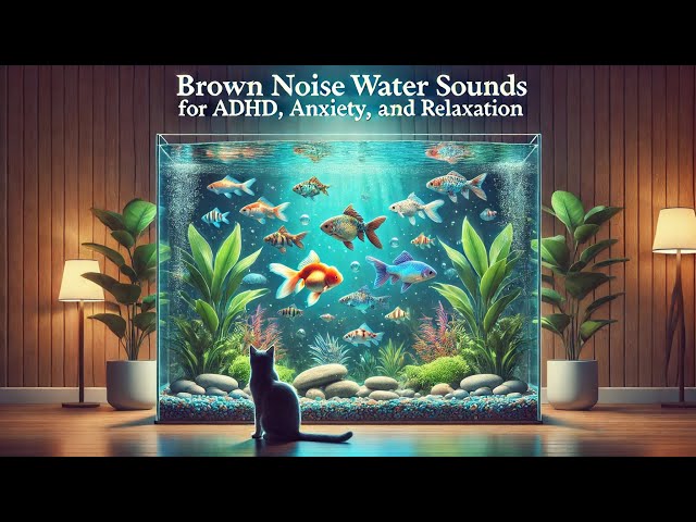 4 HOURS Watch the Aquarium Soundscape for Relaxation - No Music 🧘 🧘‍♀️