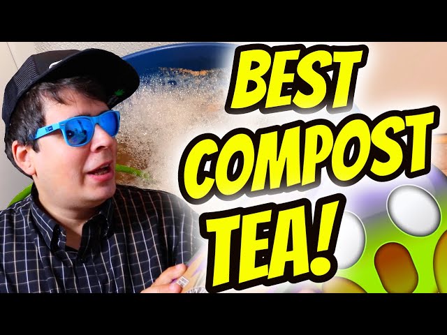 BEST NEW COMPOST TEA RECIPE!