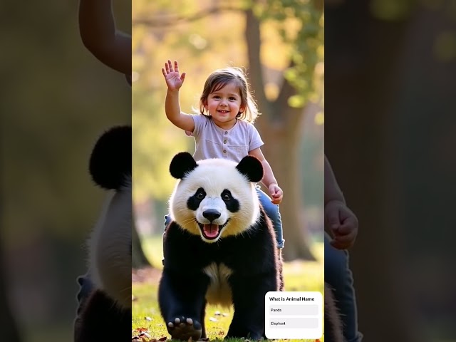 Kids Cartoon🐼 | Learning |  animated cartoon #forkids  #cartoonvideos #singalong #kindergarten