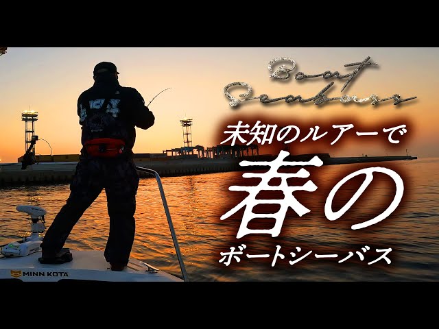 【SEABASS】Fishing with new lures in Tokyo Bay【BIGBAIT】