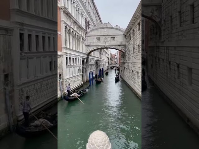 Venice gondolas