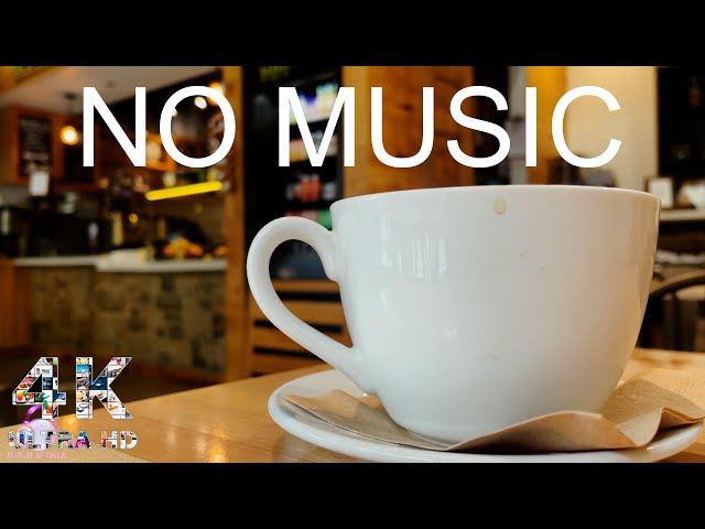 Café (Coffee Shop) Ambient Sounds for Reading, Studying, Relaxing | NO Music | 4K ASMR