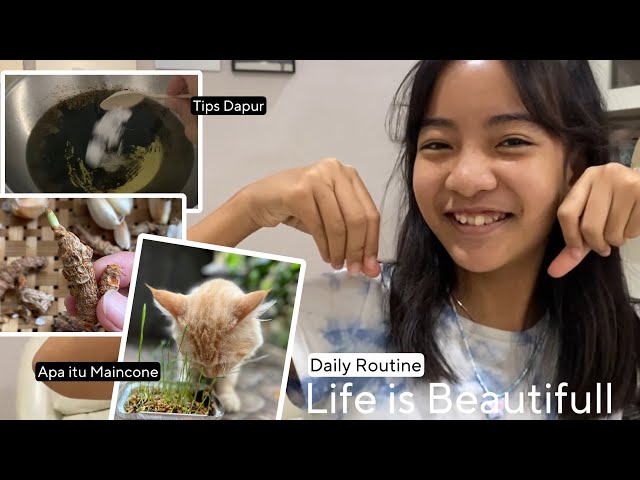 Daily Routine | Banyak Ilmu nih | Apa itu Maincone dan Tips Dapur ala Mama ZaKeSa