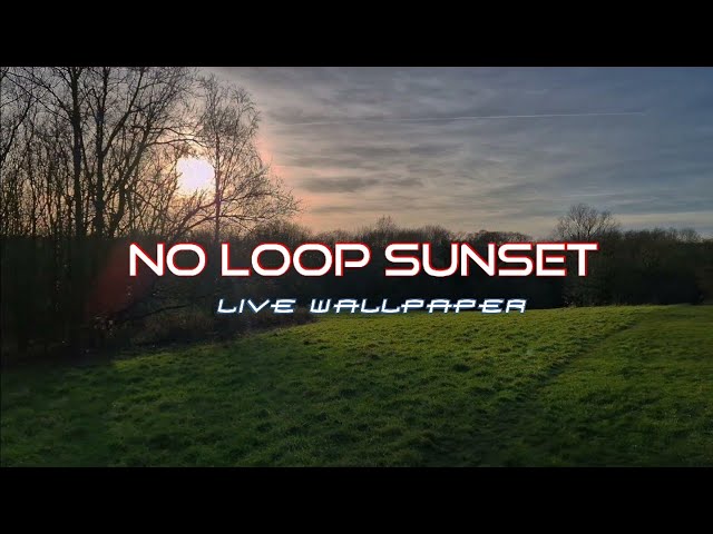 Realtime Sunset Live Wallpaper with Wind and Bird Sounds