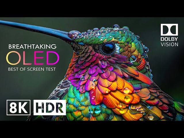 Most Amazing HDR 8K 120fps Dolby Vision (8K Video ULTRA HD)