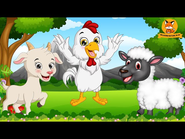 Farm Animal Names and Sounds: Goat, Sheep, Chicken, Duck, Cow - Animal Sounds