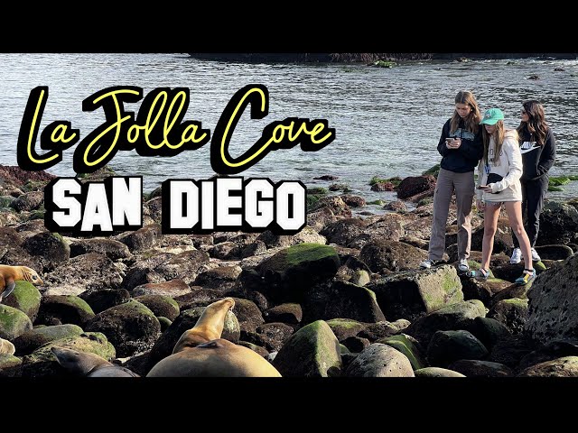 San Diego, 'La Jolla Cove' walking tour coexists with wildlife 🇺🇸 California, USA. Travel, 4KHDR