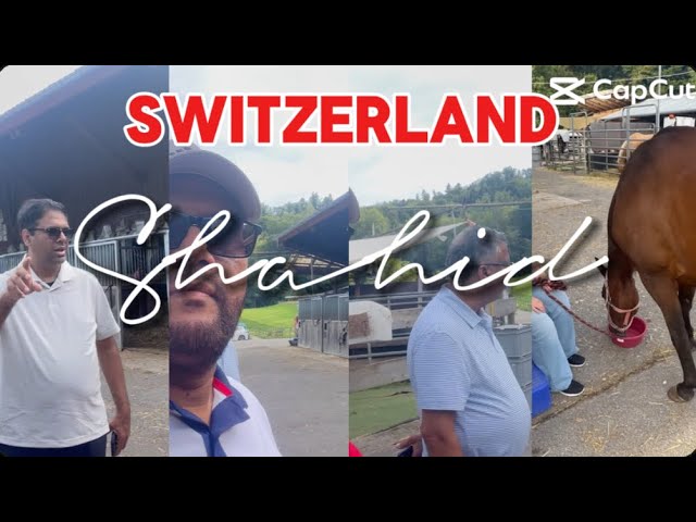 Schaffhausen to Rheinau to Zurich, Switzerland 🇨🇭 #travelwithshahidqureshi