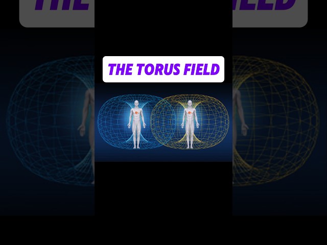 The Torus Field | Book of Wisdom Vol. 1 #spiritualawakening #shorts #viralvideo