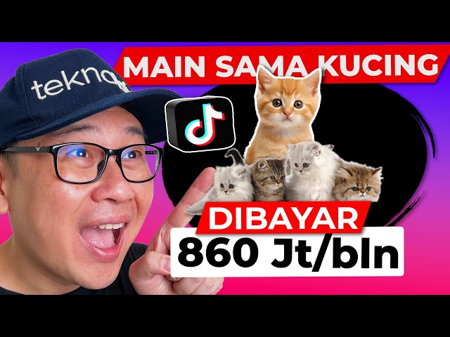 860 Jt sebulan 🤑Main sama KUCING PELIHARAAN di Tiktok dibayar tiap hari