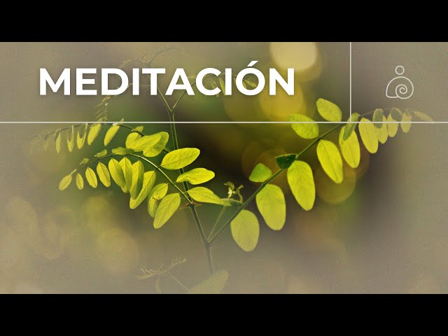 🌿Música de Meditación🌿La música suave calma el sistema nervioso🌿