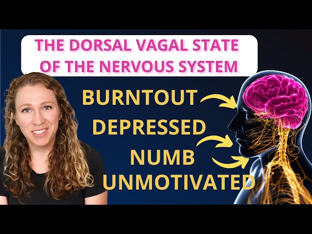 Depression in the Nervous System - The Dorsal Vagal Shutdown Response aka Hypoarousal