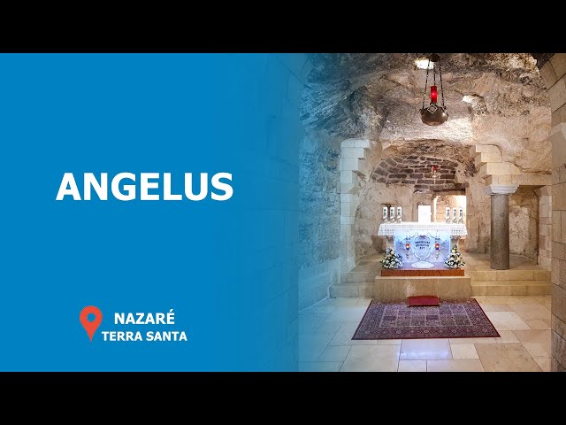 Oração do Angelus na Basílica da Anunciação | 23 janeiro 2025