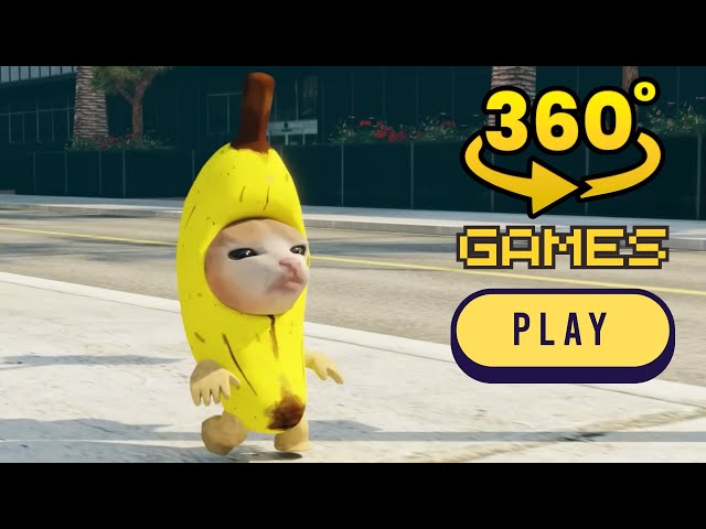 Finding Banana Cat in 360 video