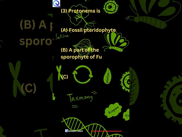 NEET BIOLOGY 3  KINGDOM PLANTAE MCQS 3