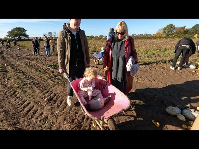 Camden Rose at the Pumpkin Patch