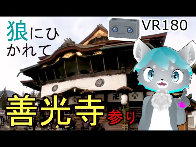 【VR180】狼にひかれて善光寺参り(20190106)