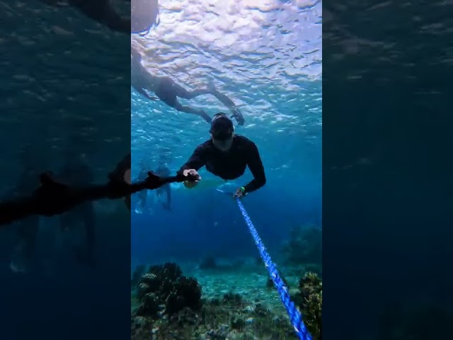 Freediver can't resist pulling anchor rope | Pujada Bay 🇵🇭