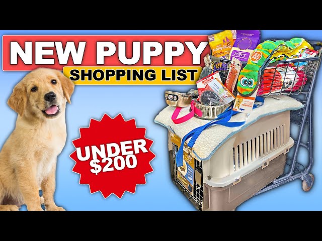 EVERYTHING You Need For Your Puppy’s First Week Home!